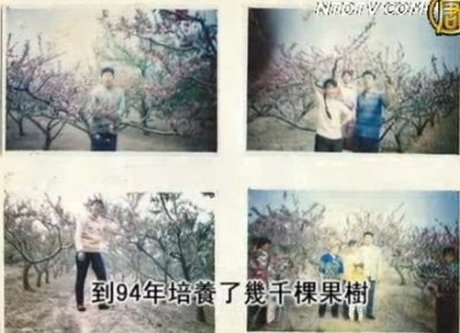 【百姓話壇】百畝果園遭人買通政府侵占