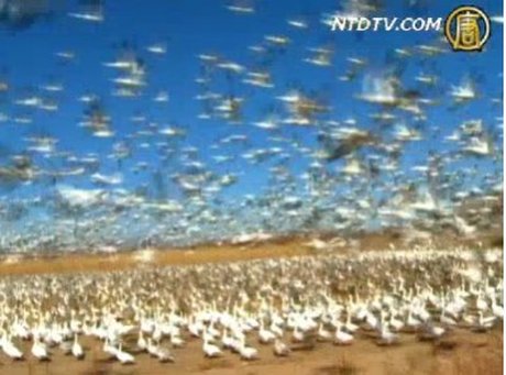 【旅行天下】巴斯克-阿帕奇野生動物保護區