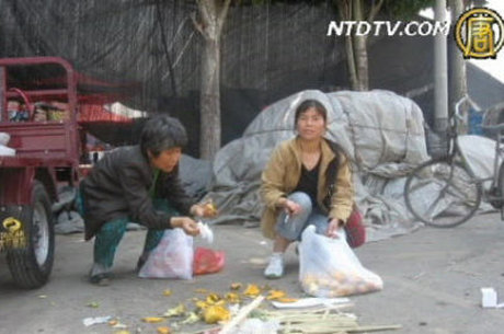 【百姓話壇】自力掃盲鬥匪官