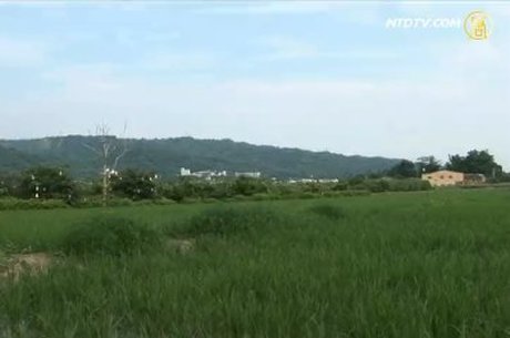 走出都市塵囂 八卦山南麓下的世外桃源