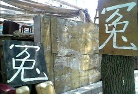 【百姓話壇】比竇娥冤還冤的一家三口