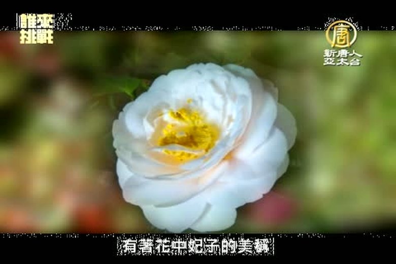 『誰來挑戰』(12)小半天休閒農業區