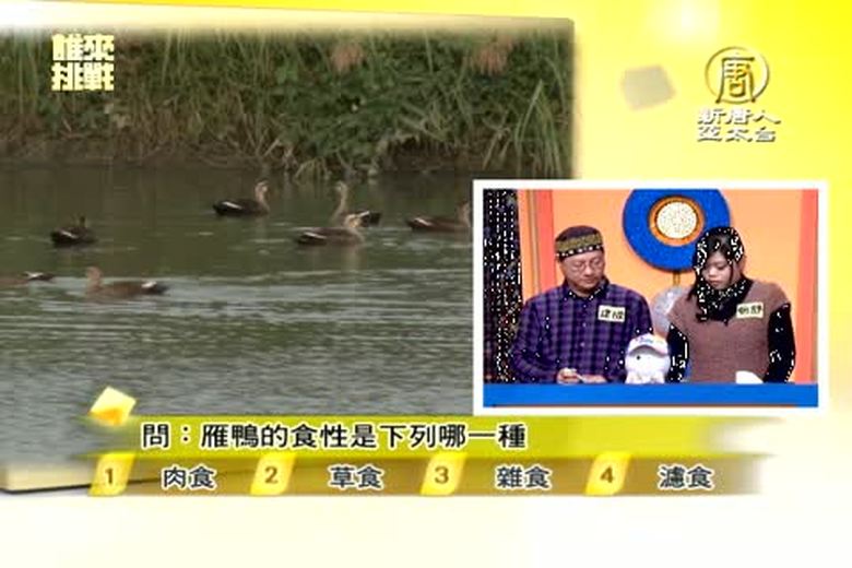 『誰來挑戰』(7)珍珠休閒農業區