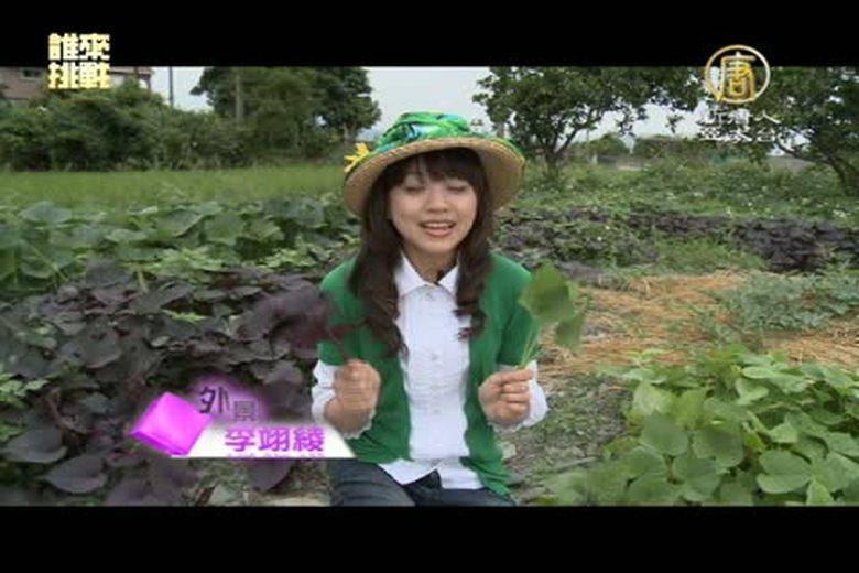 『誰來挑戰』(1)冬山河休閒農業區