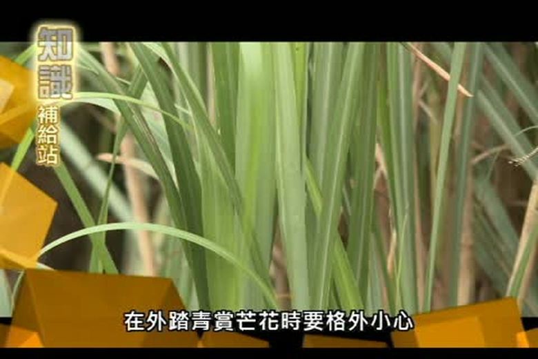 『誰來挑戰』知識補給站(十五)