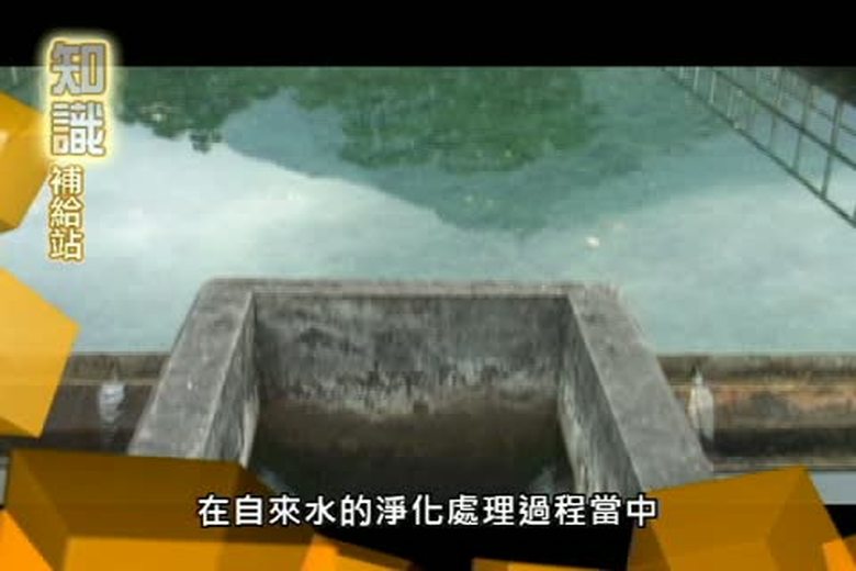 『誰來挑戰』知識補給站(十三)