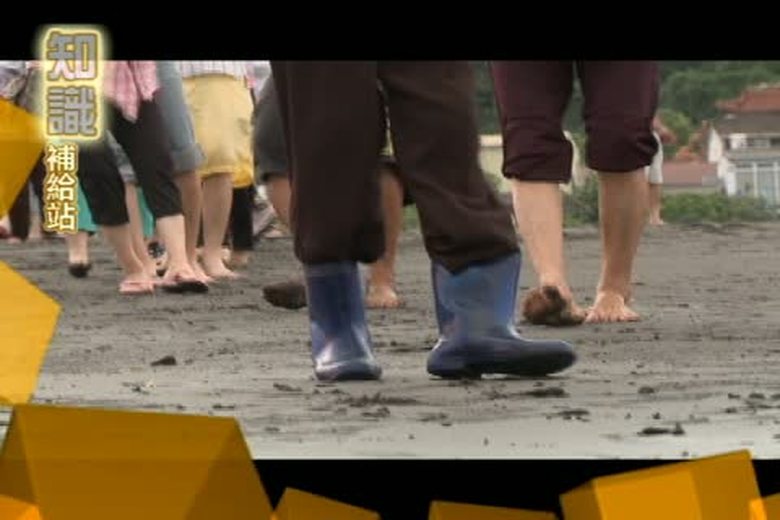 『誰來挑戰』知識補給站(八)