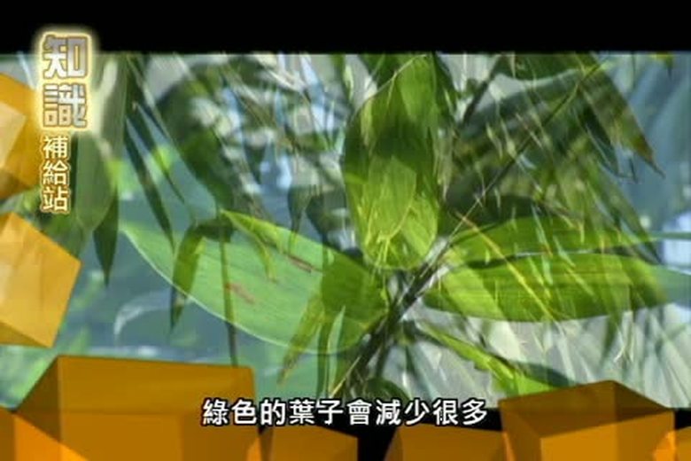 『誰來挑戰』知識補給站(九)