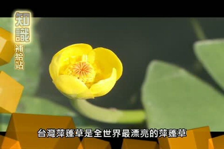 『誰來挑戰』知識補給站(三)