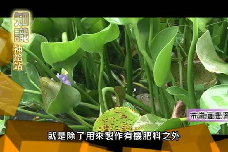 『誰來挑戰』知識補給站(一)