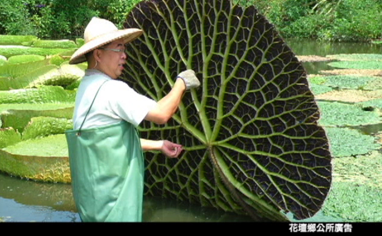 【廣告】花壇鄉公所