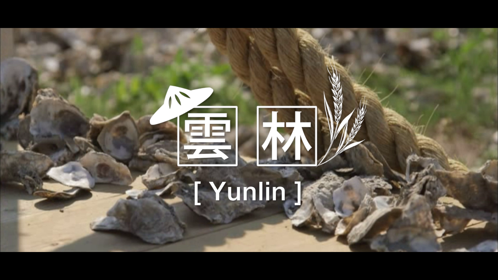 2017台灣燈會在雲林