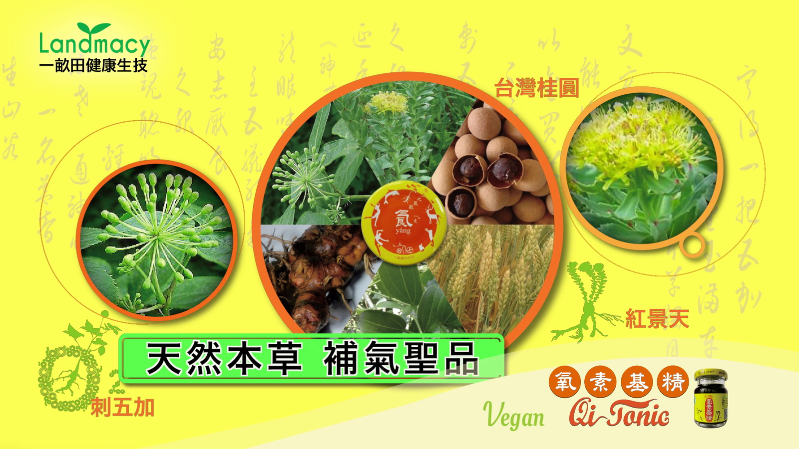 一畝田健康生技