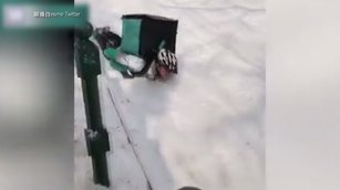 強寒襲歐積雪厚 英快遞員送貨出「奇招」
