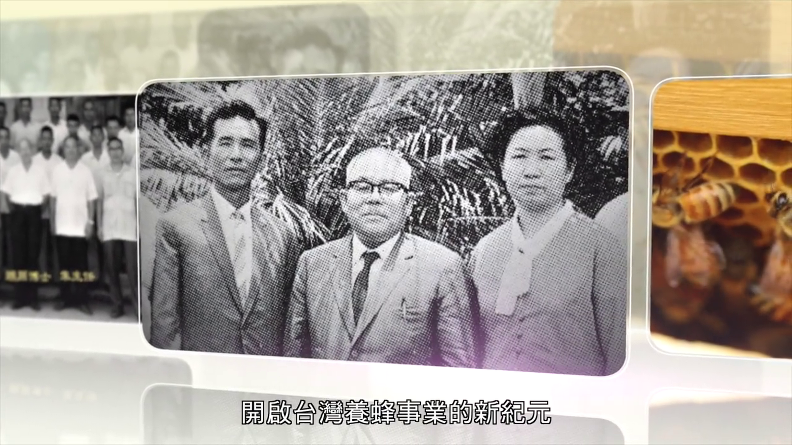 養蜂協會-歷史篇