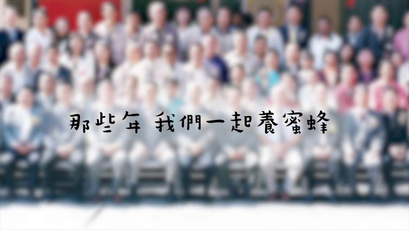 那些年我們一起養蜜蜂