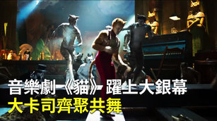音樂劇《貓》躍上大銀幕 大卡司齊聚共舞