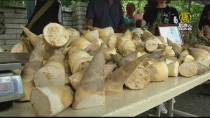 寶山勇奪「甜筍王」 綠竹筍產業文化展好嚐鮮