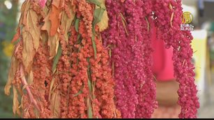 三倍券最高回饋50% 原民會鼓勵踴躍消費