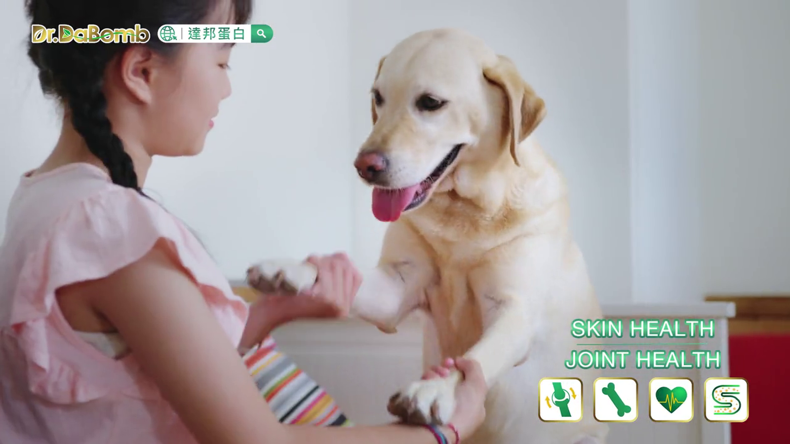 邦蛋白-萌肽優(英文版)