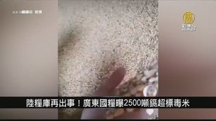 陸糧庫再出事！廣東國糧曝2500噸鎘超標毒米｜中國一分鐘