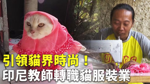 引領貓界時尚!印尼教師轉職貓服裝業