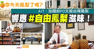 響應「#自由鳳梨」滋味!AIT、加國紛PO文挺台鳳梨|台灣速速看