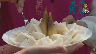 直擊綠竹筍採收 青農:現採現做最美味