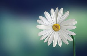 擁有感恩的心使人幸福祥和。(pixabay)