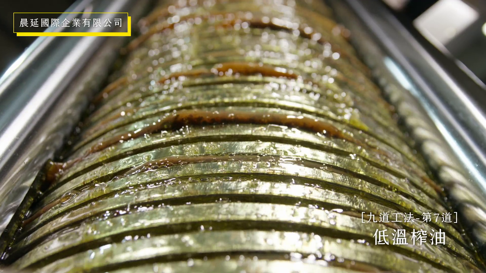 晨延苦茶油工廠製程 賴記