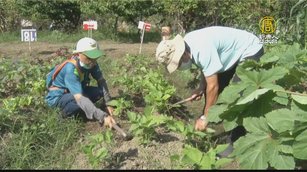 嘉義社大自然農法班 學員市集分享養生體驗
