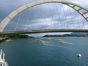 日本小笠原群島火山8月噴發,日前在基隆八斗子漁港、正濱漁港、望海巷漁港,都發現火山浮石的蹤跡。(圖/基隆市政府提供)