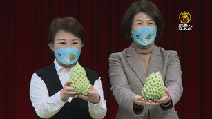 過年「接粒挺釋迦」雙市長同台促銷台東農產