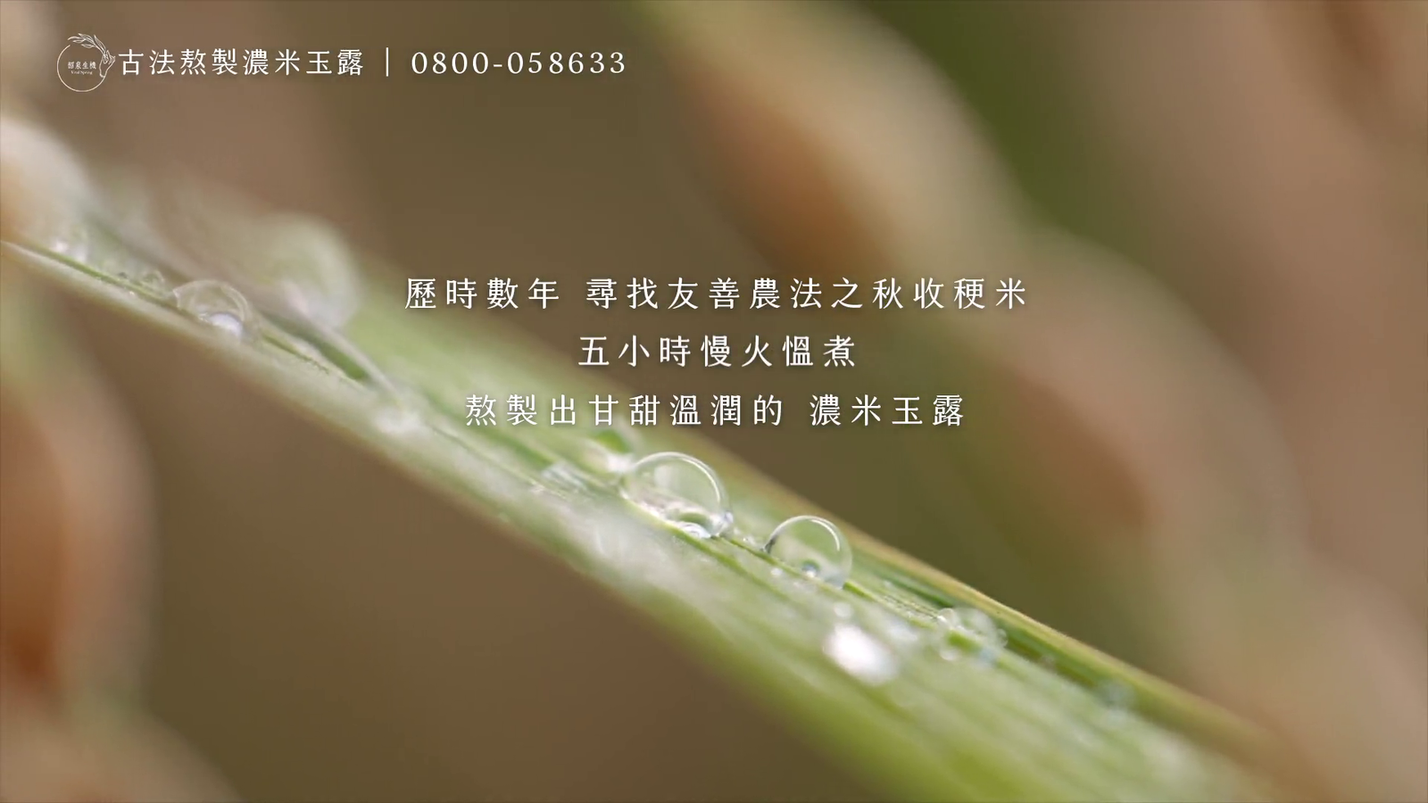 韶泉生機濃米玉露_2min