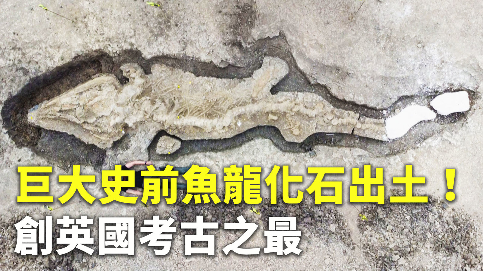 巨大史前魚龍化石出土!創英國考古之最