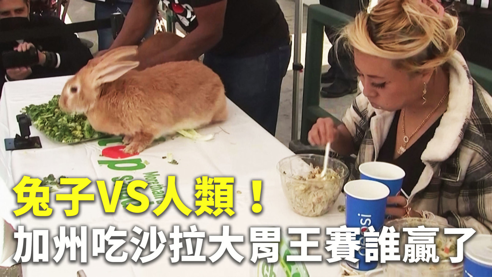 兔子VS人類!加州吃沙拉大胃王賽誰贏了