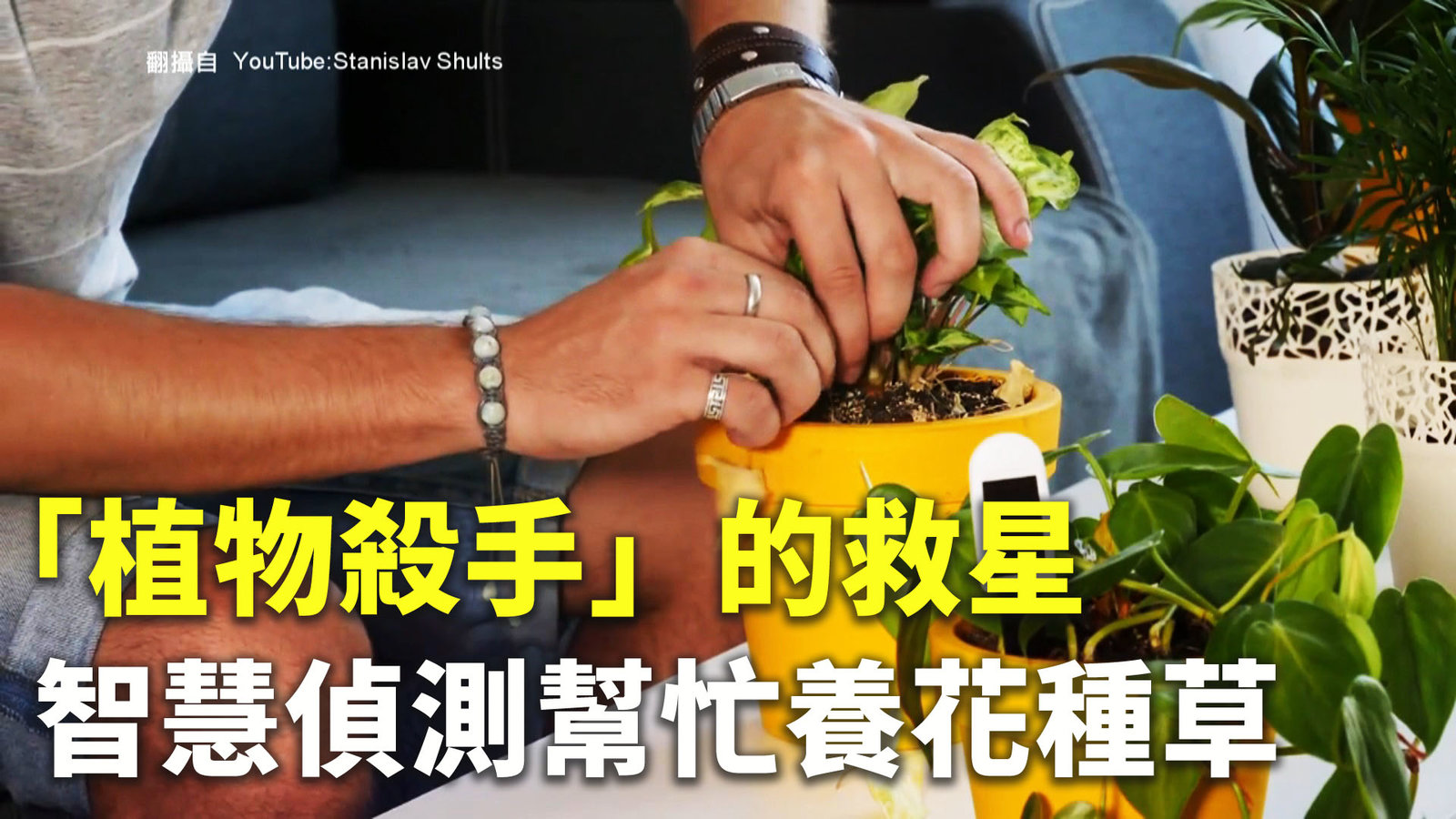 「植物殺手」的救星 智慧偵測幫忙養花種草