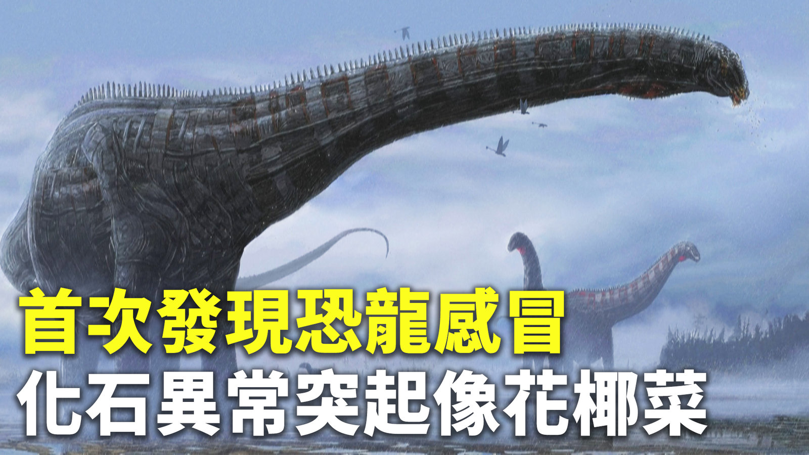 首次發現恐龍感冒 化石異常突起像花椰菜