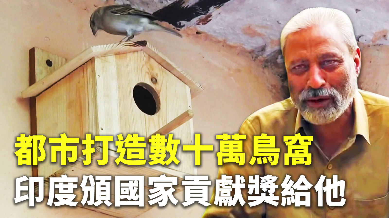都市打造數十萬鳥窩 印度頒國家貢獻獎給他