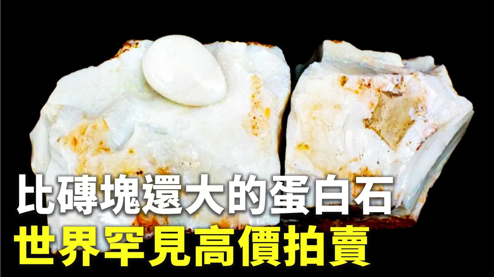 比磚塊還大的蛋白石 世界罕見高價拍賣