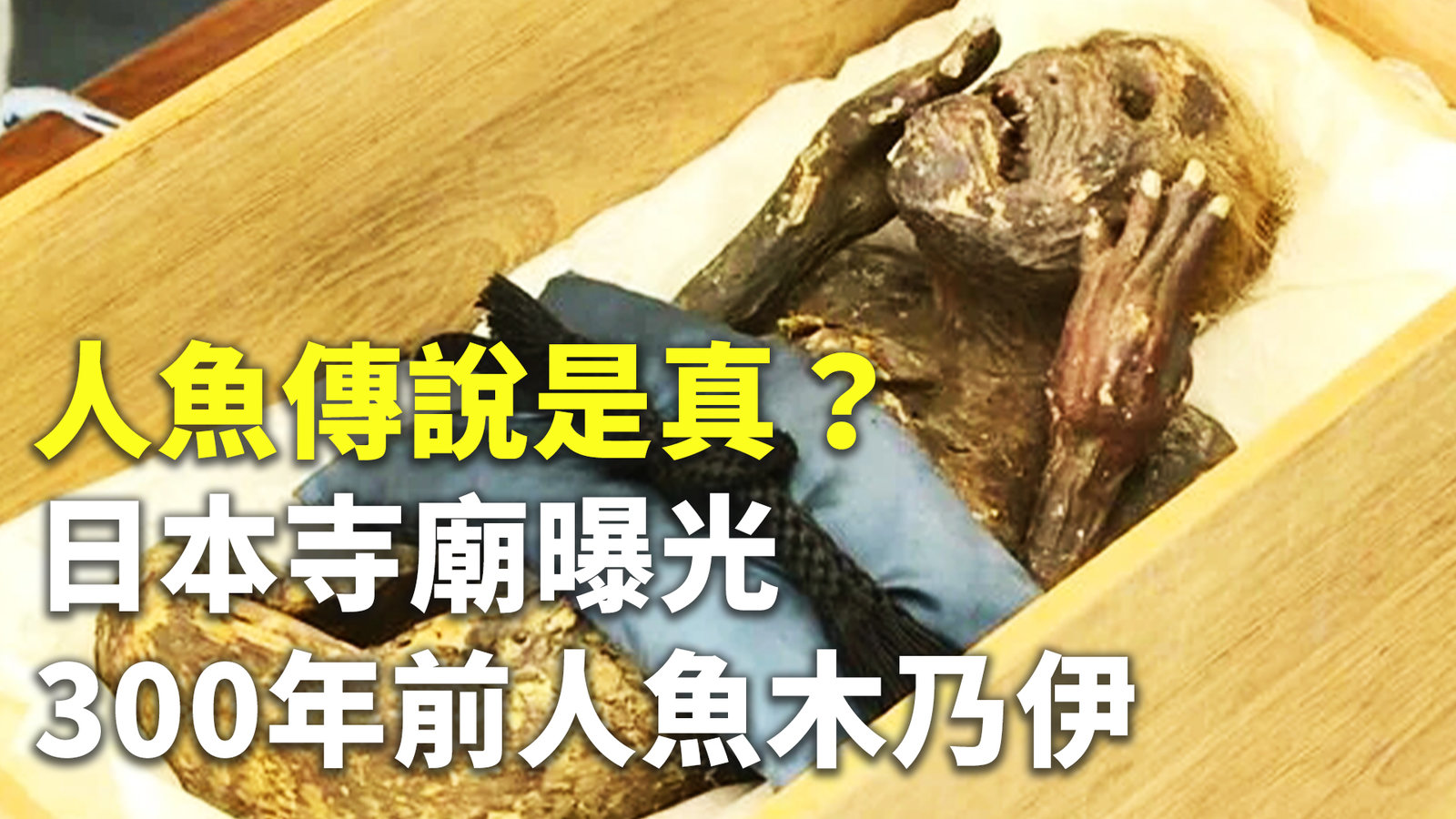 人魚傳說是真?日本寺廟曝光300年前人魚木乃伊