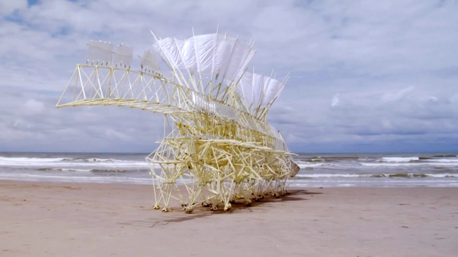 只靠風力行走 荷蘭設計師造巨型「海灘野獸」