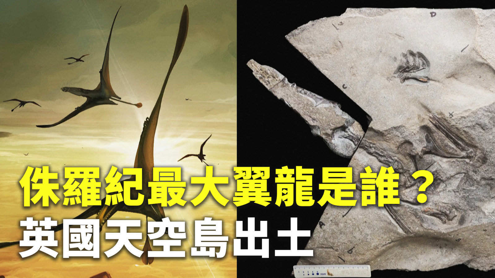 侏羅紀最大翼龍是誰?英國天空島出土
