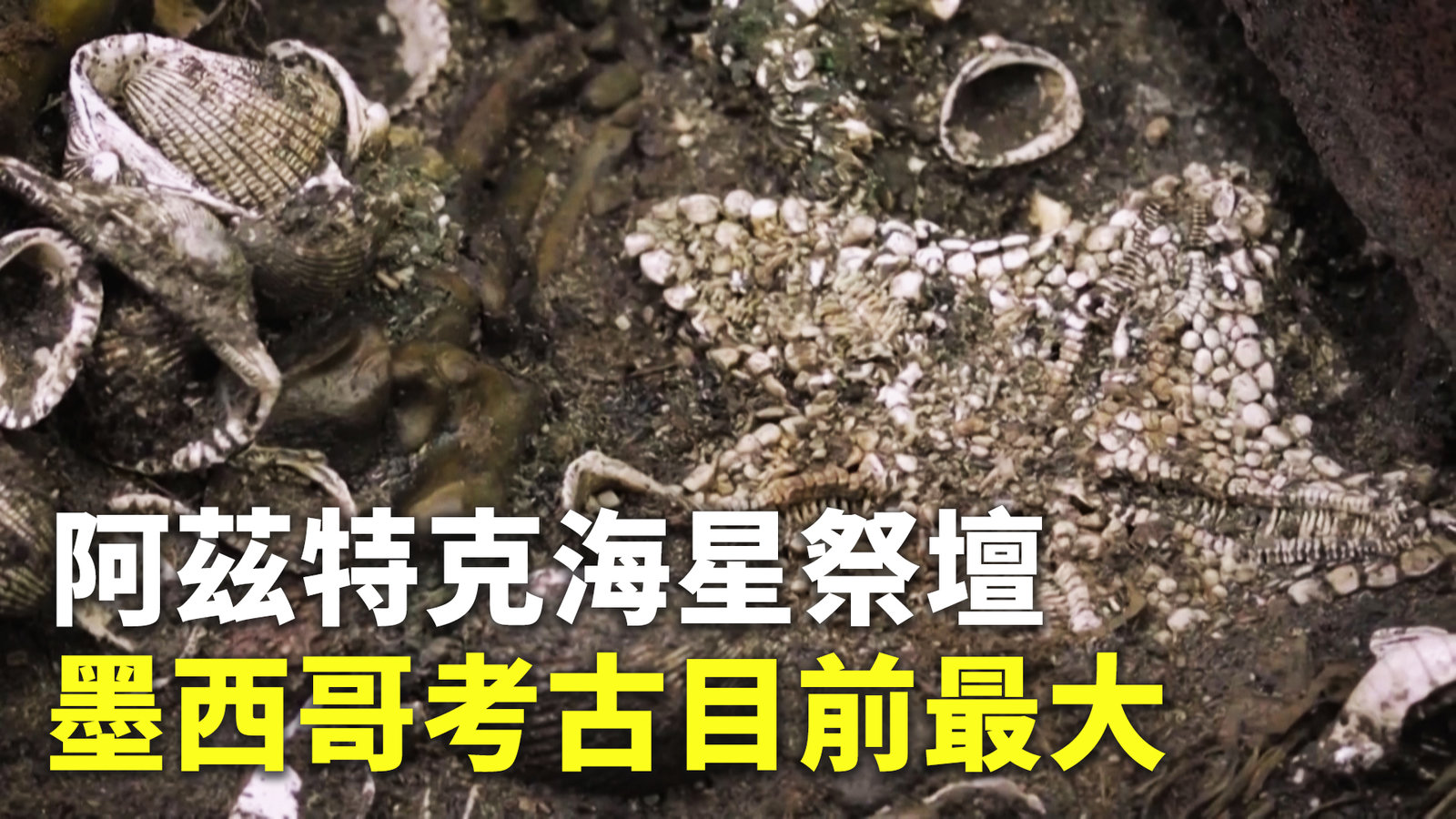 阿茲特克海星祭壇 墨西哥考古目前最大