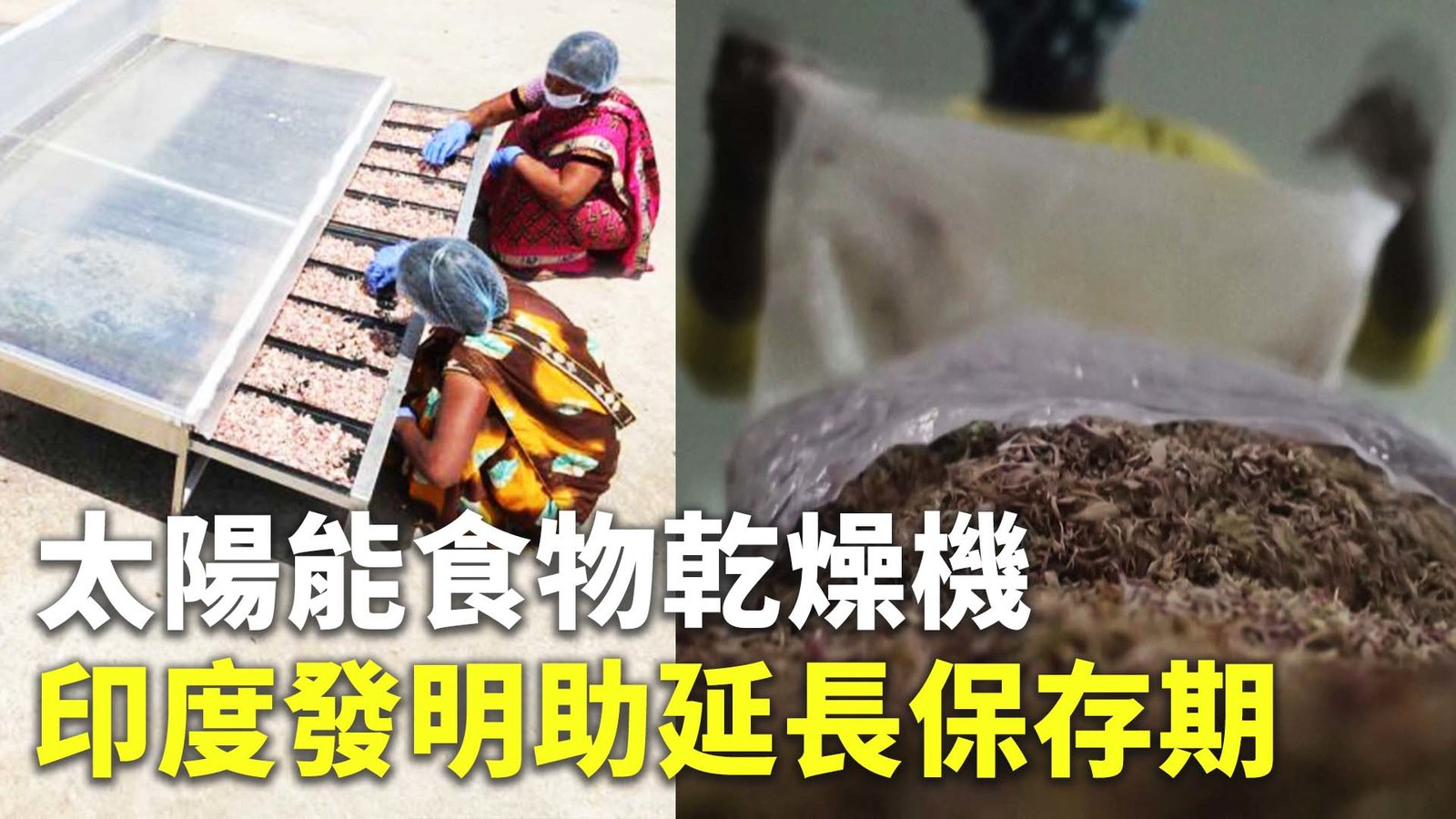 太陽能食物乾燥機 印度發明助延長保存期