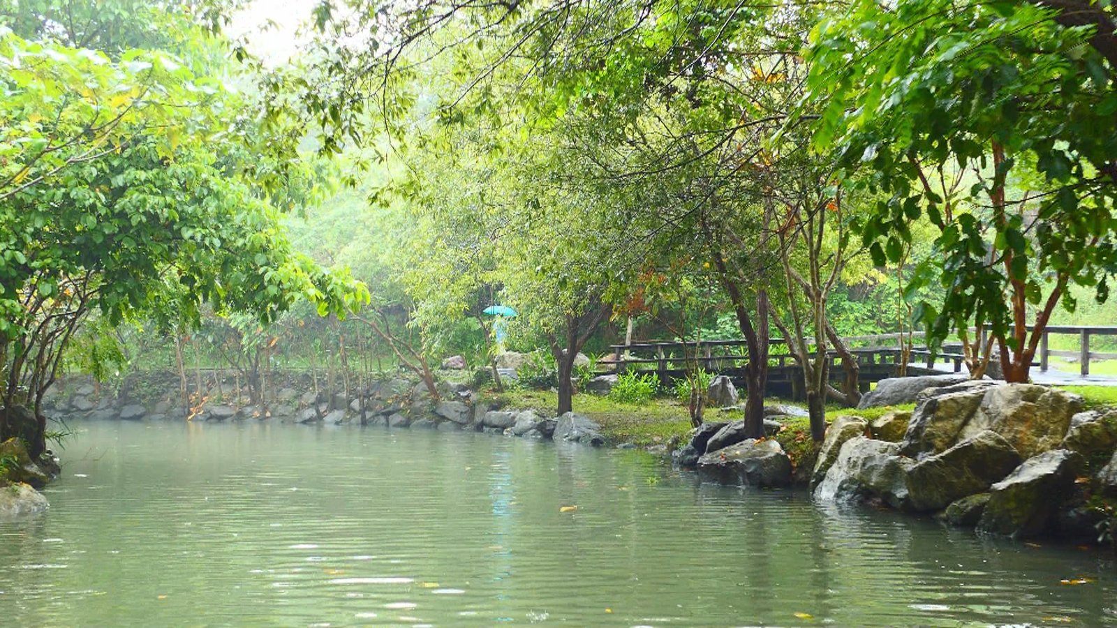 暢遊冬山河 宜蘭綠博生態綠舟登場