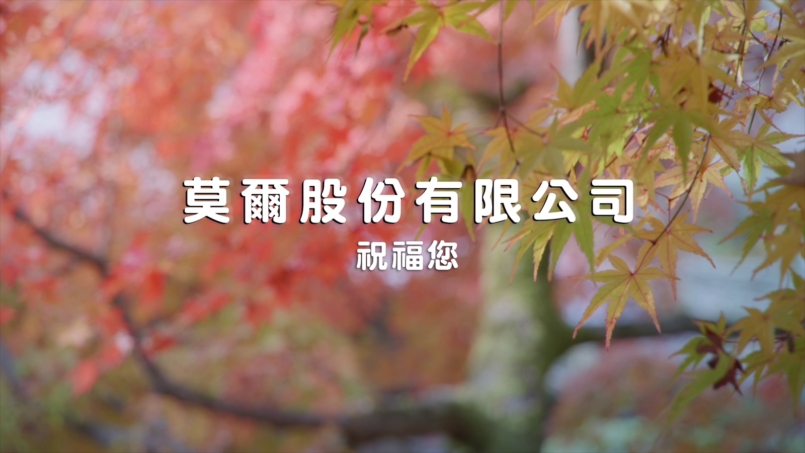 【廣告】莫爾股份有限公司