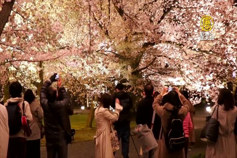 日本國寶庫 京都東寺春夜漫遊