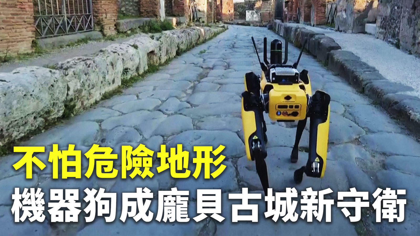 不怕危險地形 機器狗成龐貝古城新守衛