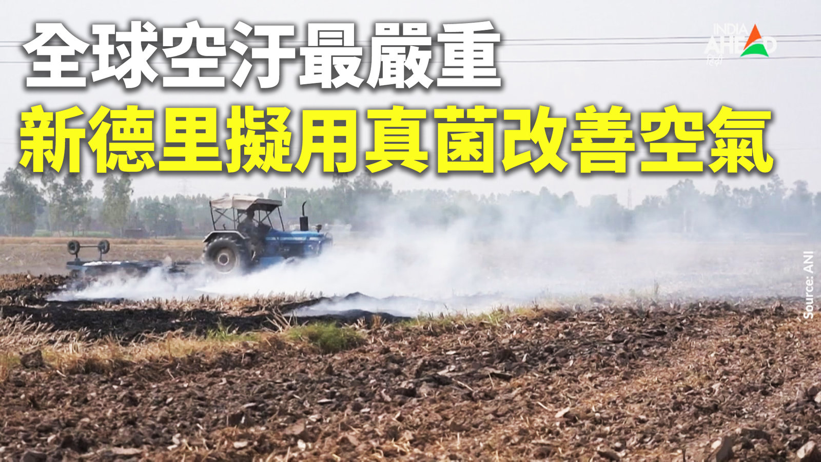 全球空汙最嚴重 新德里擬用真菌改善空氣